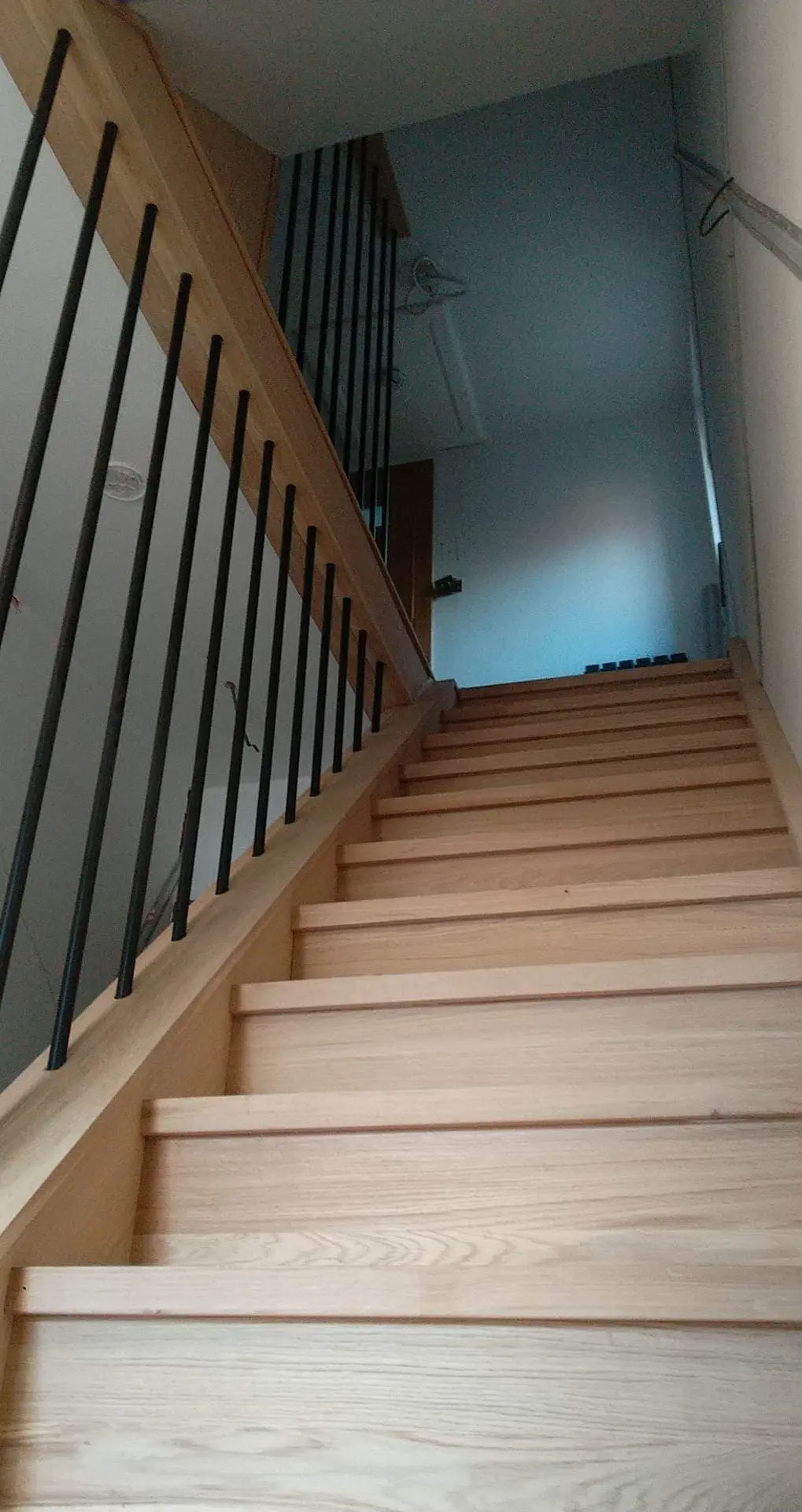 Oak staircase with slim black balusters, seen from the bottom